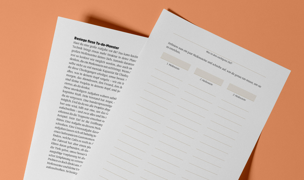 Anleitung und Technik zum Ziele erreichen aus dem ganzheitlichen Terminkalender Ein guter Plan